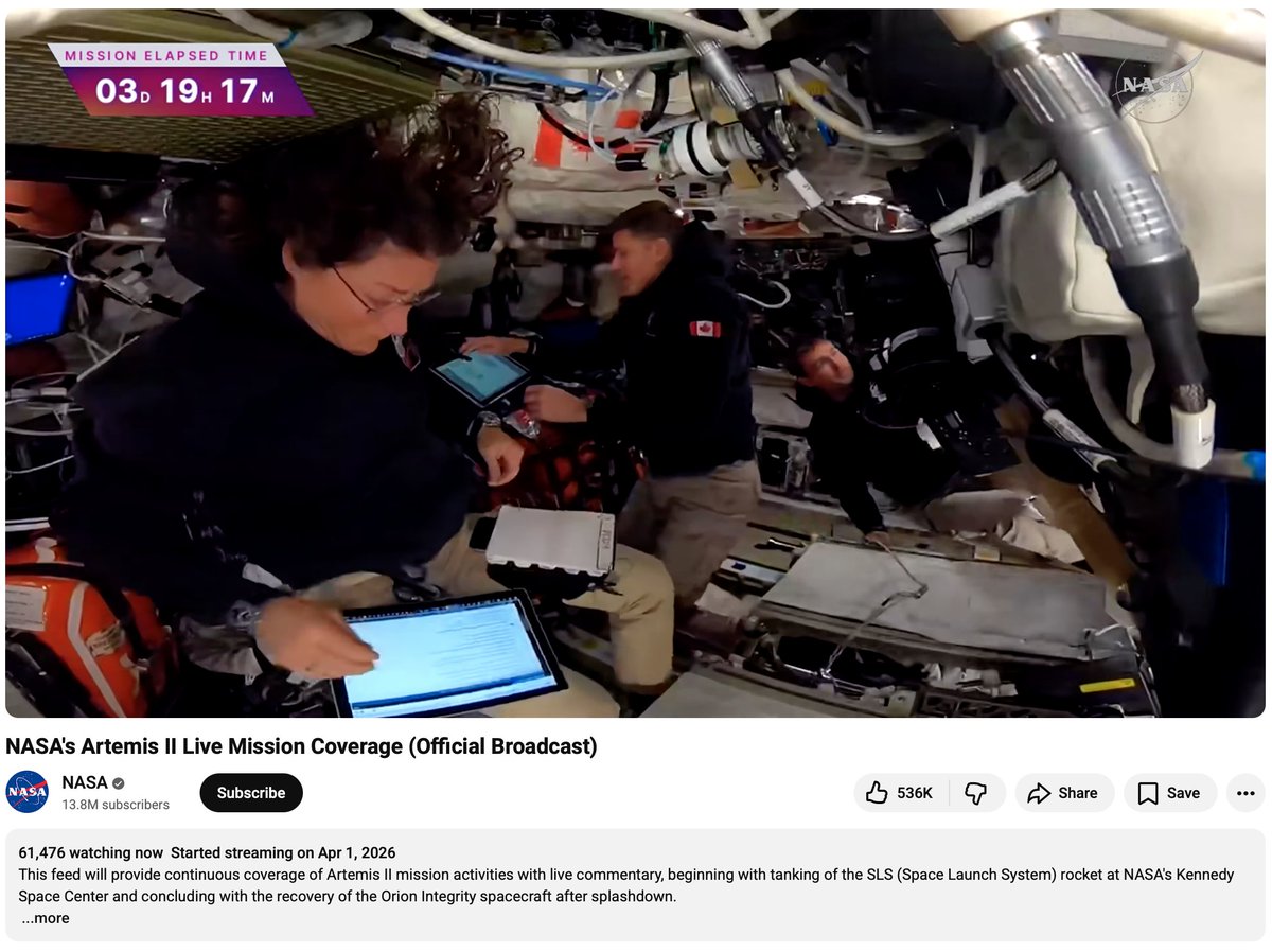 Lisa Long ⭐️❤️🔥 tweet media