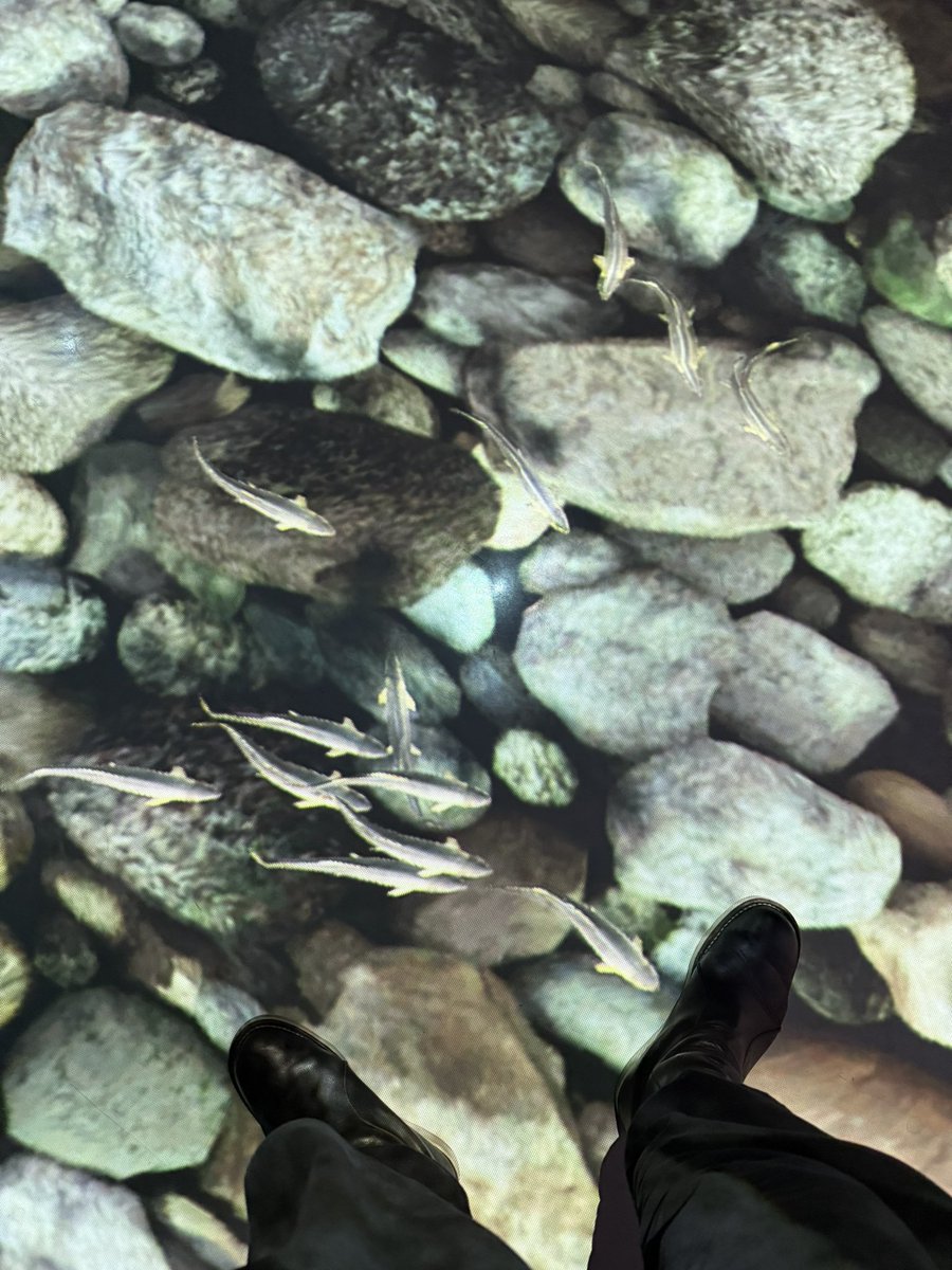 angelicalbite tweet media