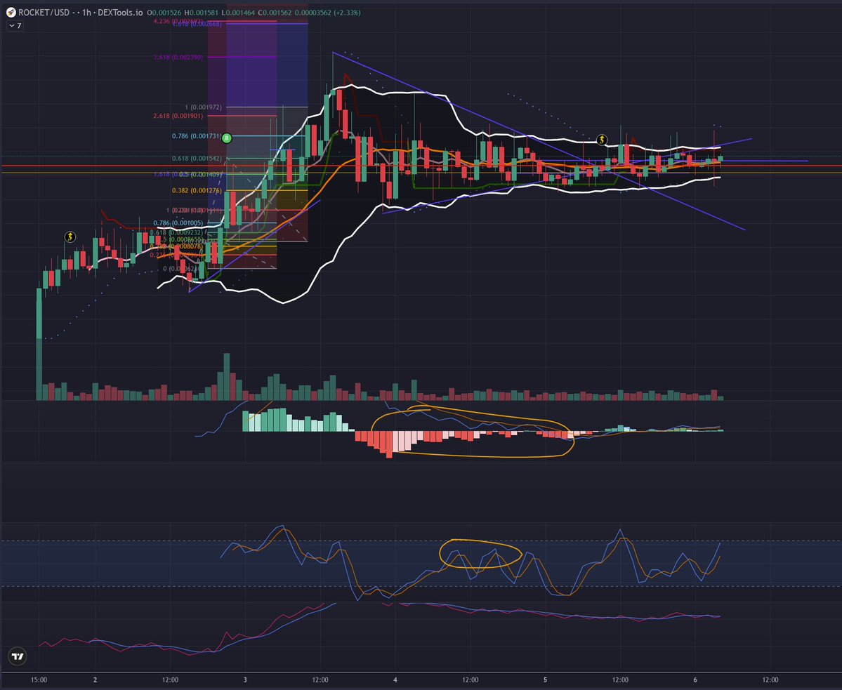 ACIDMAN99 tweet media