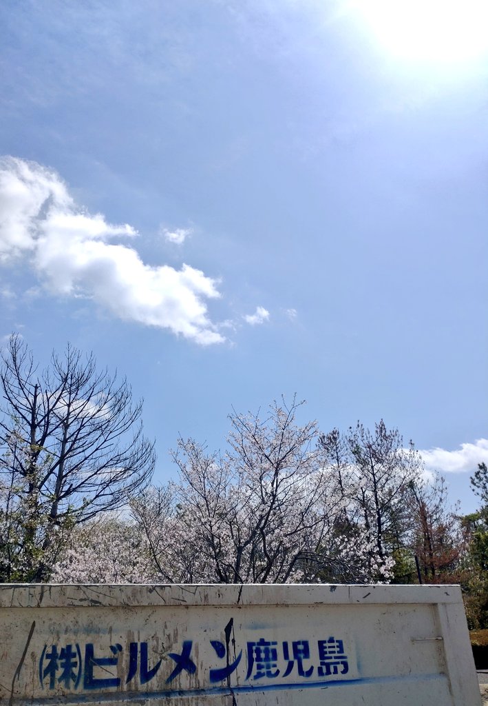 鬼ヶ島 一徳 バックドロップシンデレラ tweet media