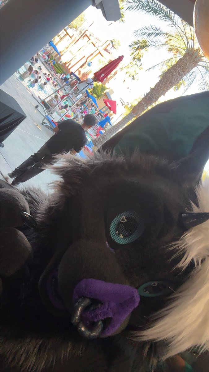 Mercy the Bat tweet media