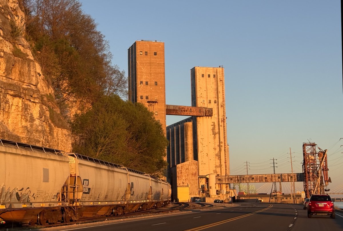 Chicken Joe 🐔 tweet media