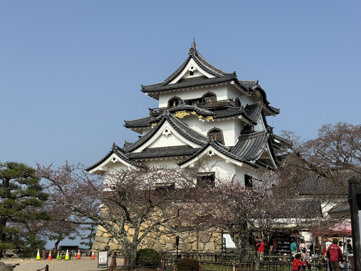 k-masahiro tweet media