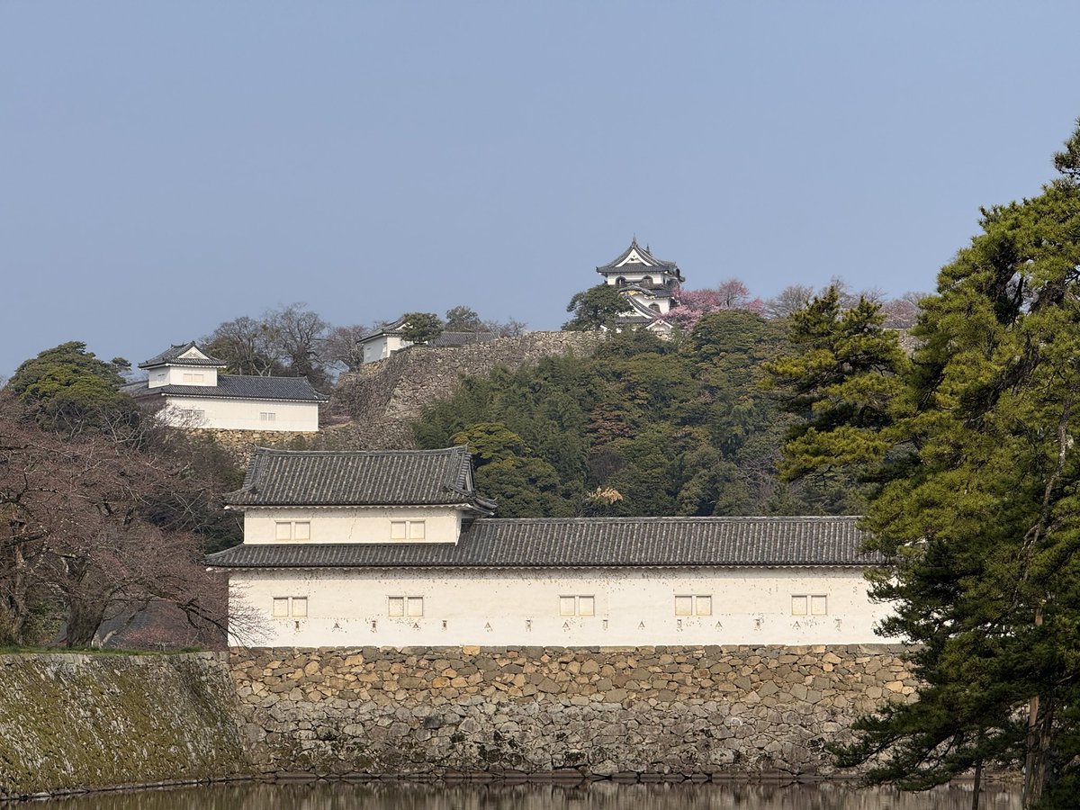 k-masahiro tweet media