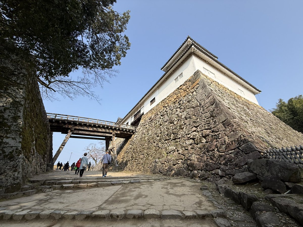 k-masahiro tweet media