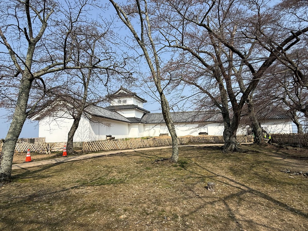 k-masahiro tweet media