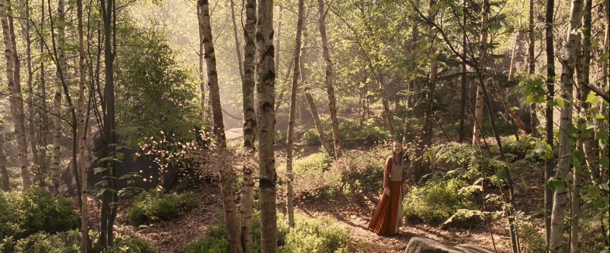 tyler ☠︎︎ tweet media