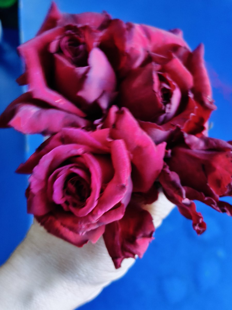 Life Is A HighWay tweet media