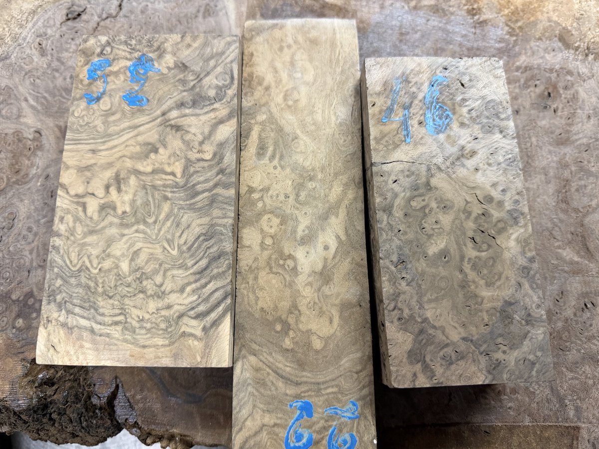 工房楔(公式) tweet media