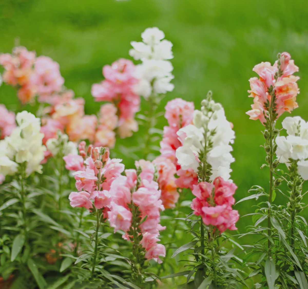 WayfaringBroad tweet media