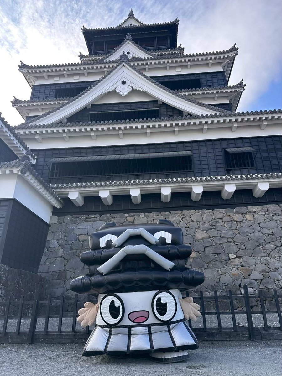 ひごまる【公式】 tweet media