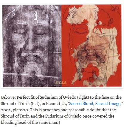 Modern McCarthyist tweet media