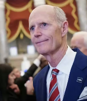 Brown Eyed Susan tweet media