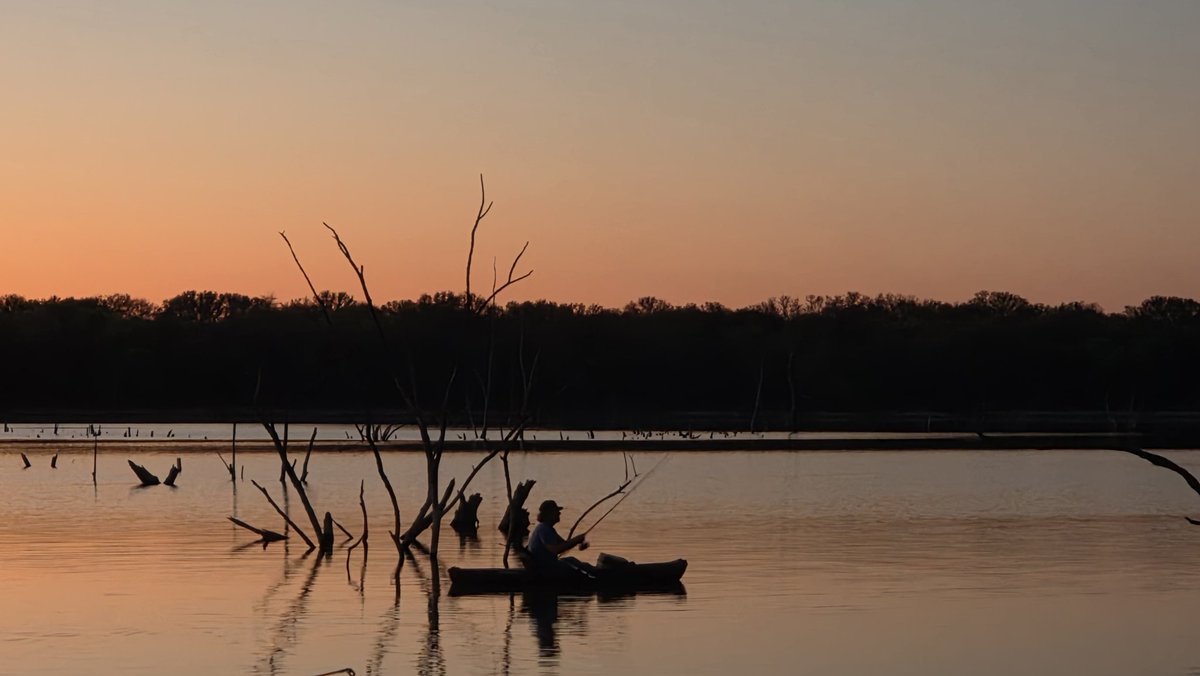 Corey Gerken tweet media