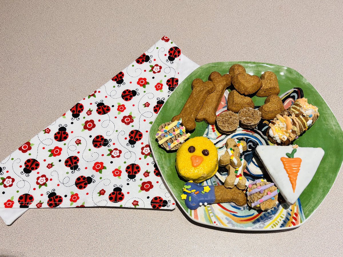 CAROLINE SUMMERS🇮🇹 tweet media