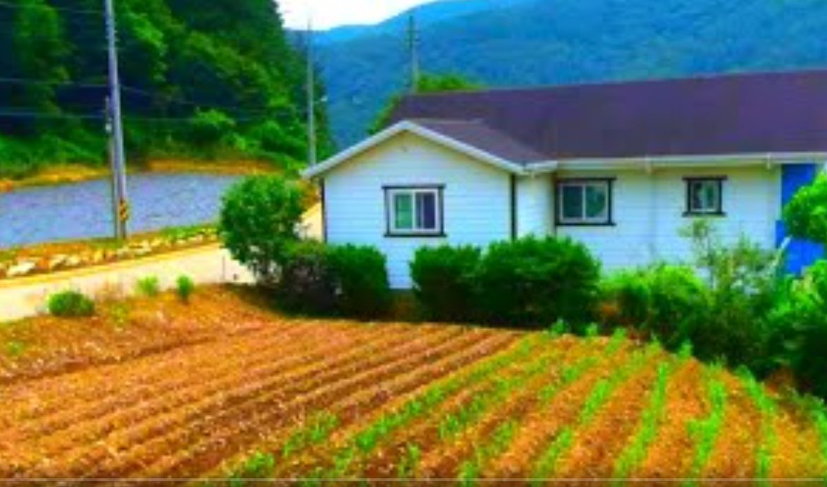 반값이하,1/3가격~넓은임야,가져가세요~체류형쉼터,농막,토지, 시골집터,주말농장,자연농원,전원주택,강원도,경기도,평창군, 급매물부동산 매매,급매물과 반값매매 youtu.be/pUzZOkiP-yM