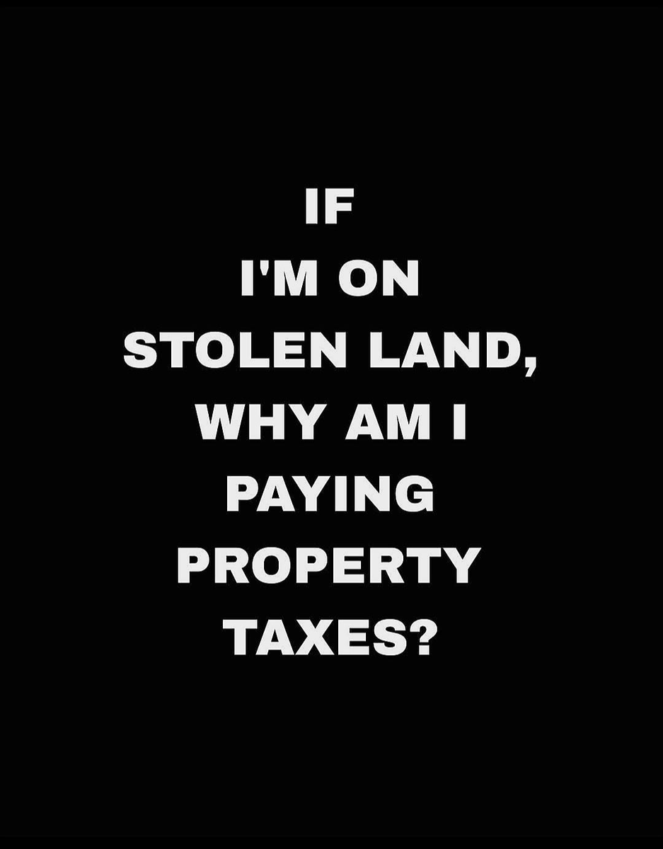 AlphaFox tweet media