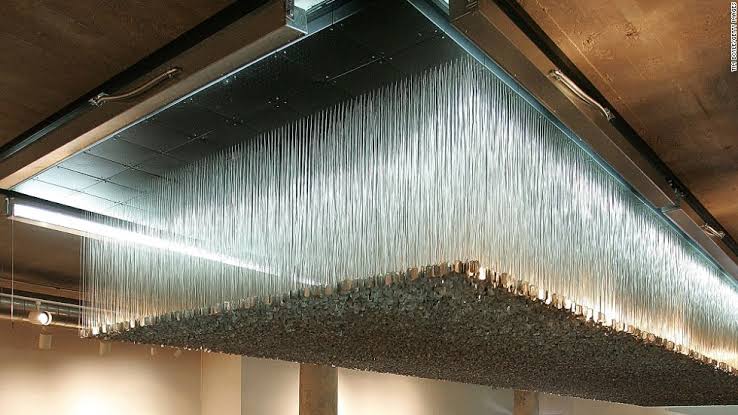 Go Phở Yourself tweet media