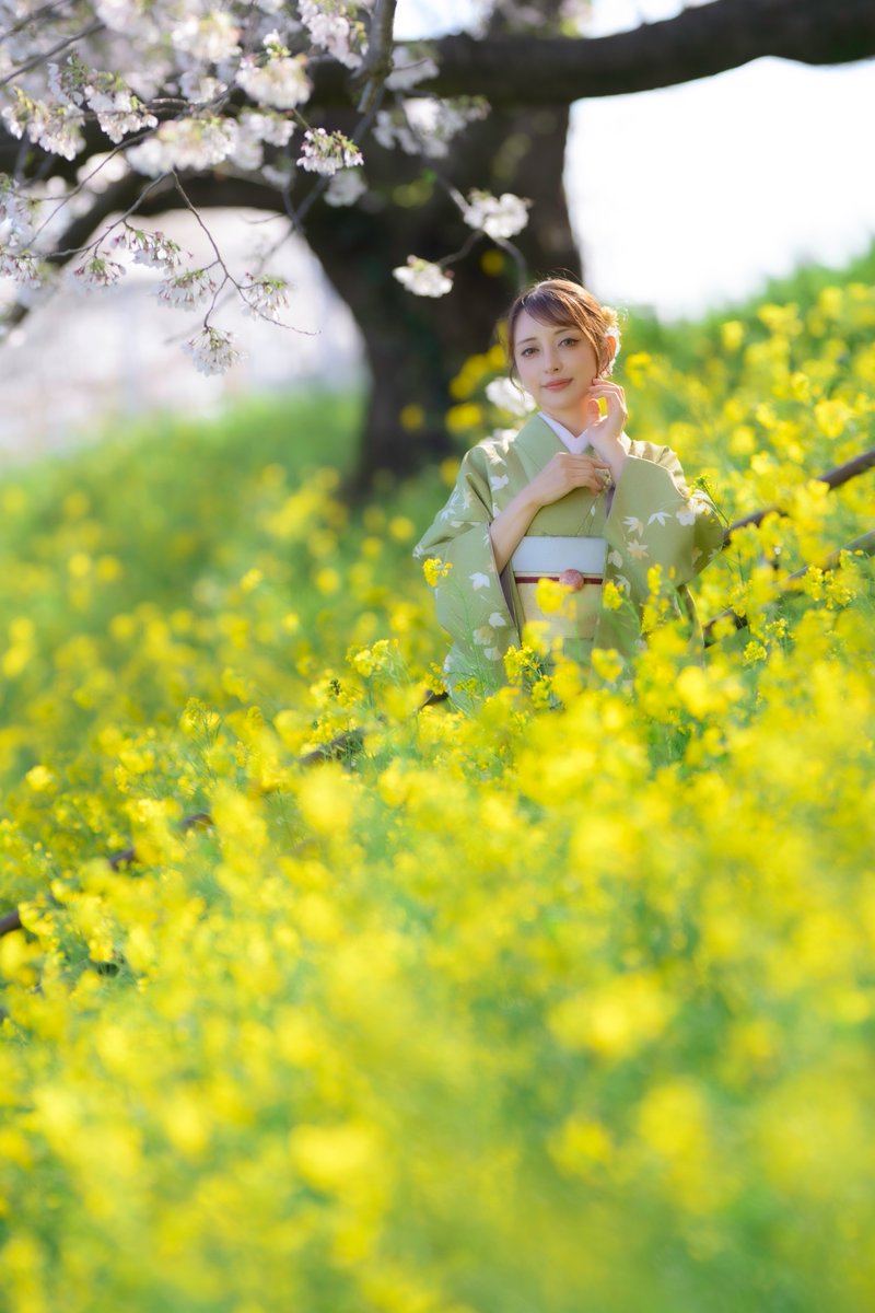 shinohara_touru tweet media