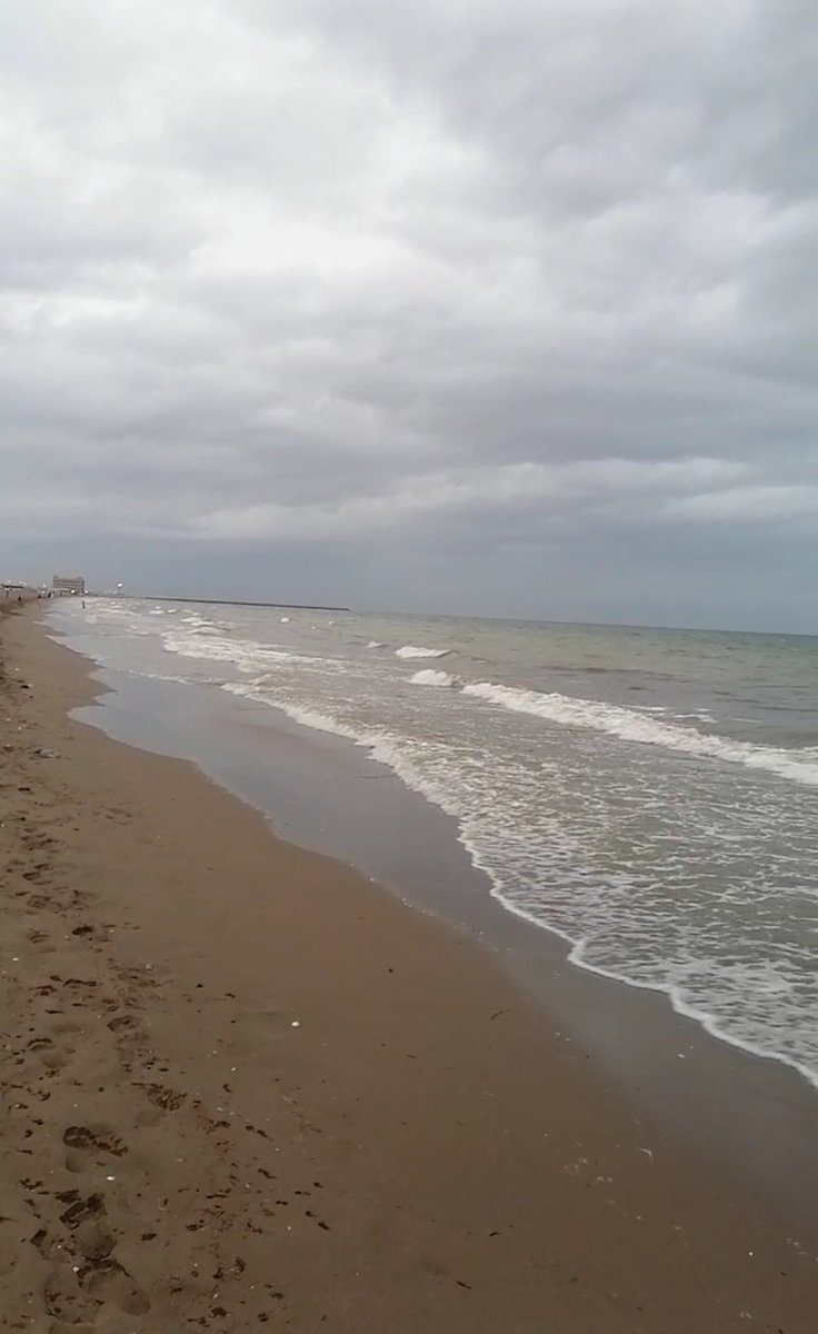 ABU NOOR 💫✨ tweet media