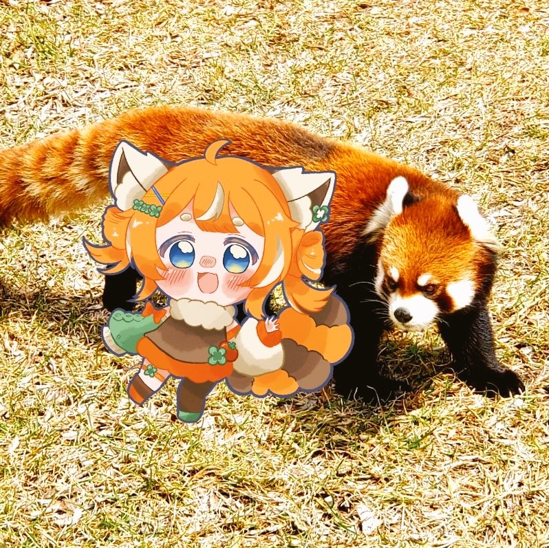 あこ⛩️🔅︎ tweet media