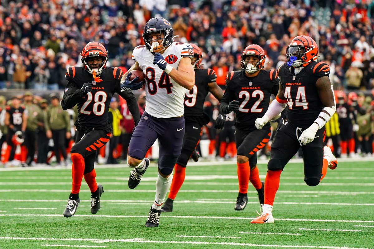 ProFootballHOF's tweet photo. 2025 Season in Review: Chicago Bears 📷 https://t.co/sE92LqwEfq