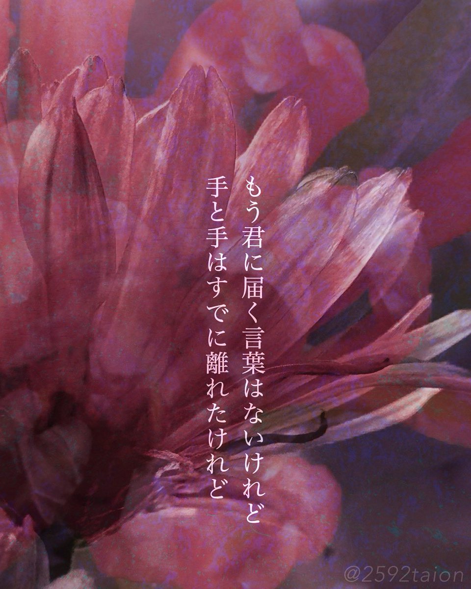 2592taion tweet media