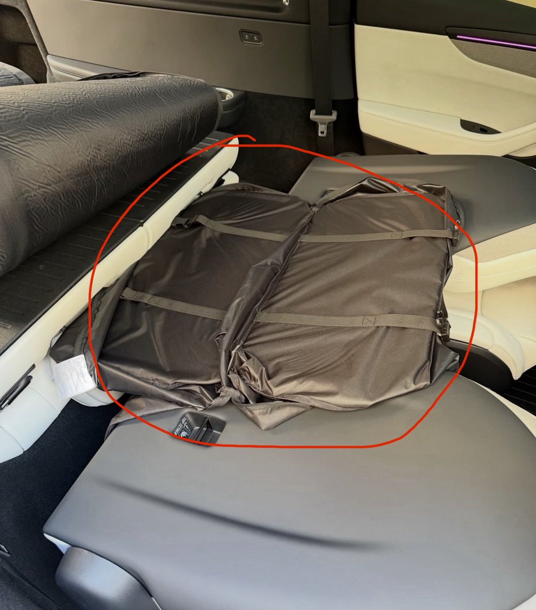 Tsla Chan tweet media