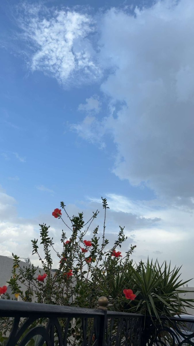 د.مناحي بن تركي الظفيري tweet media