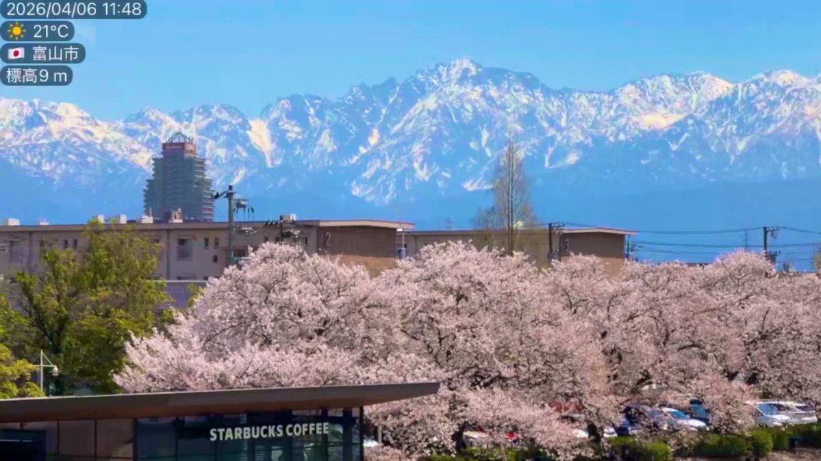 さくらんぼ🍒‧*𖧷 tweet media