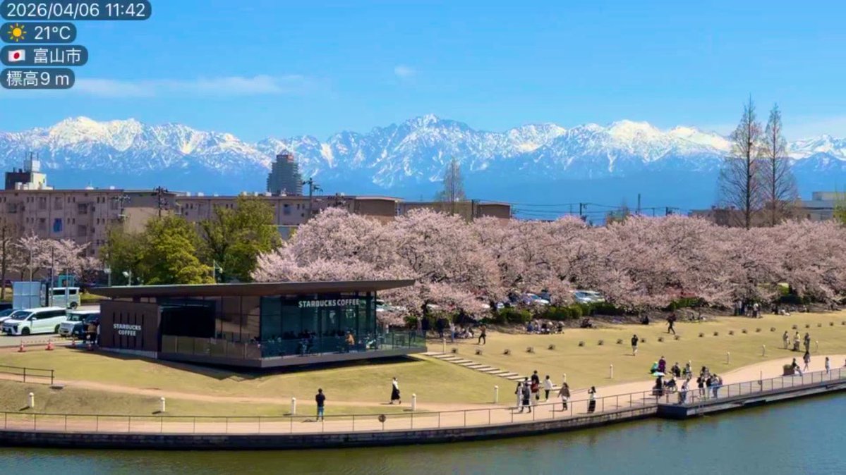 さくらんぼ🍒‧*𖧷 tweet media