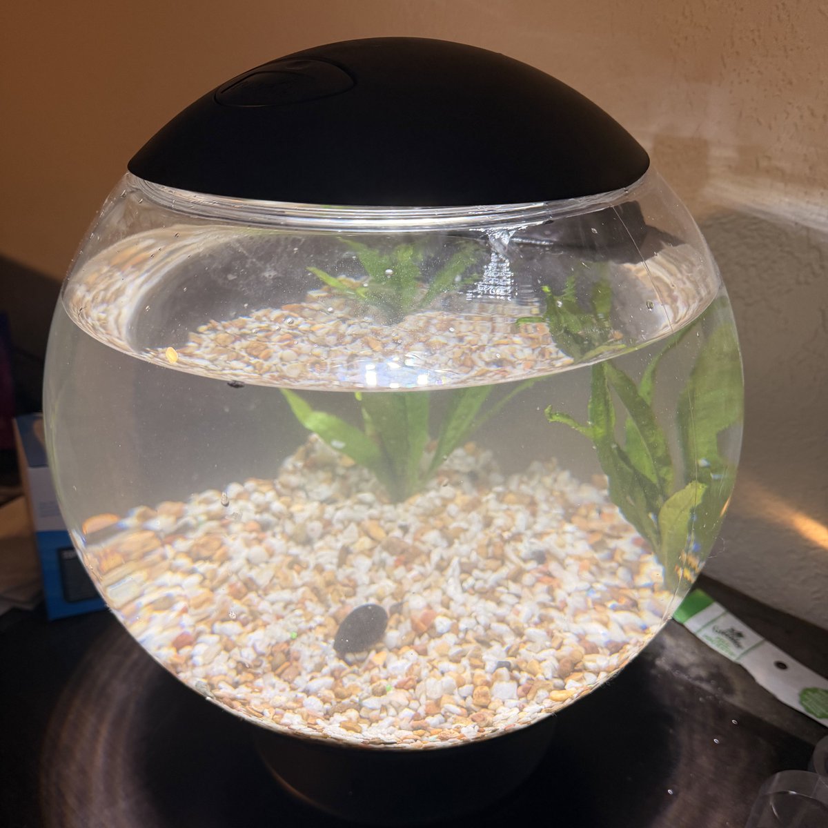 Oatmeal 🥣 tweet media