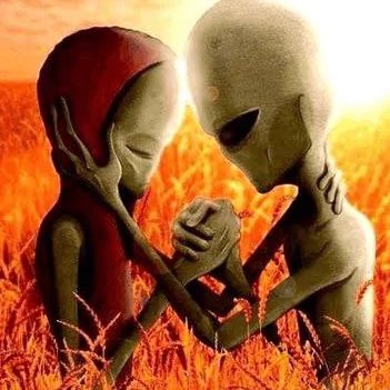 𝐓. 𝐁𝐎𝐆𝐀𝐑𝐃 tweet media