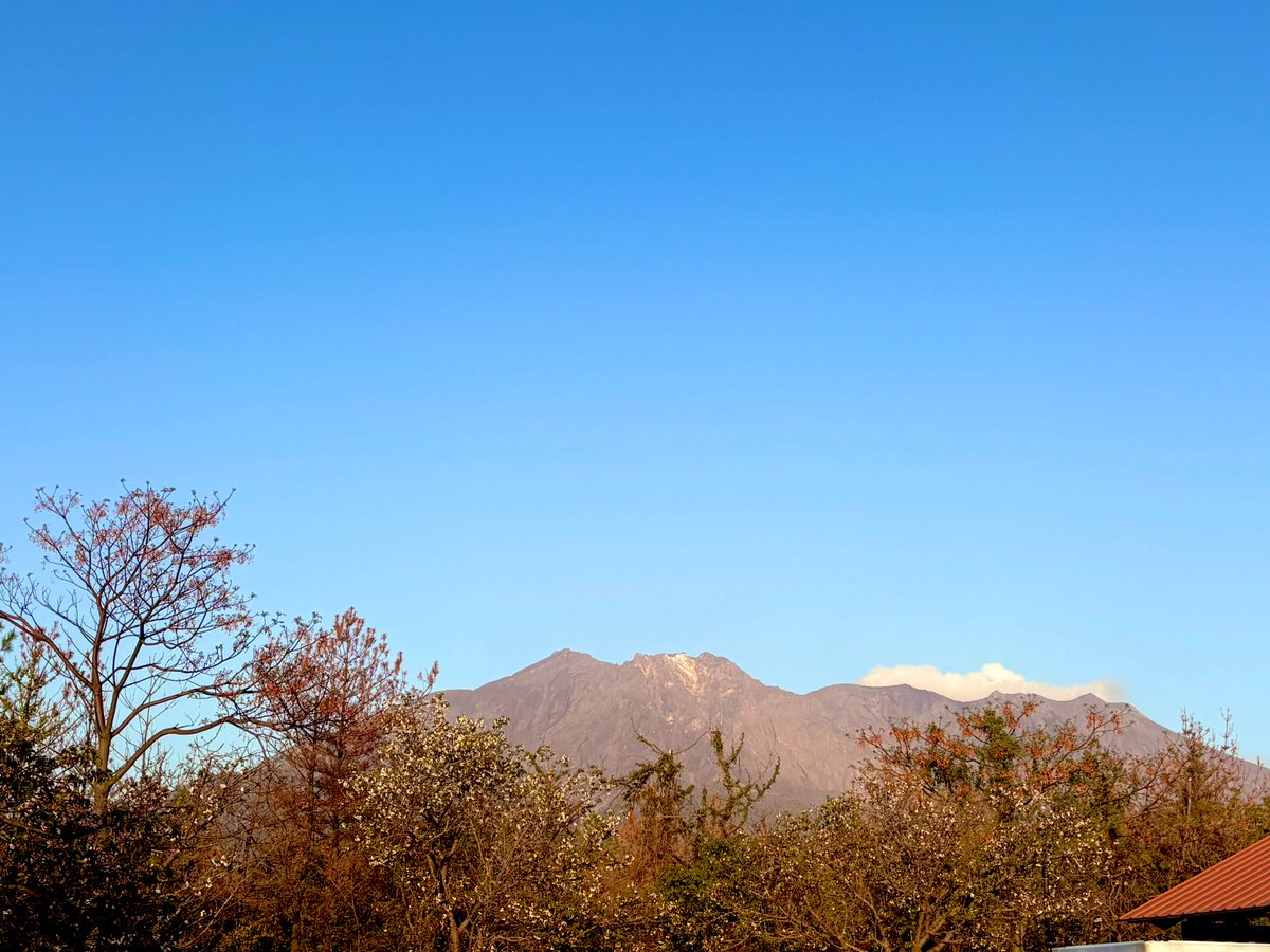 アサヒキャナコ@バックドロップシンデレラ tweet media