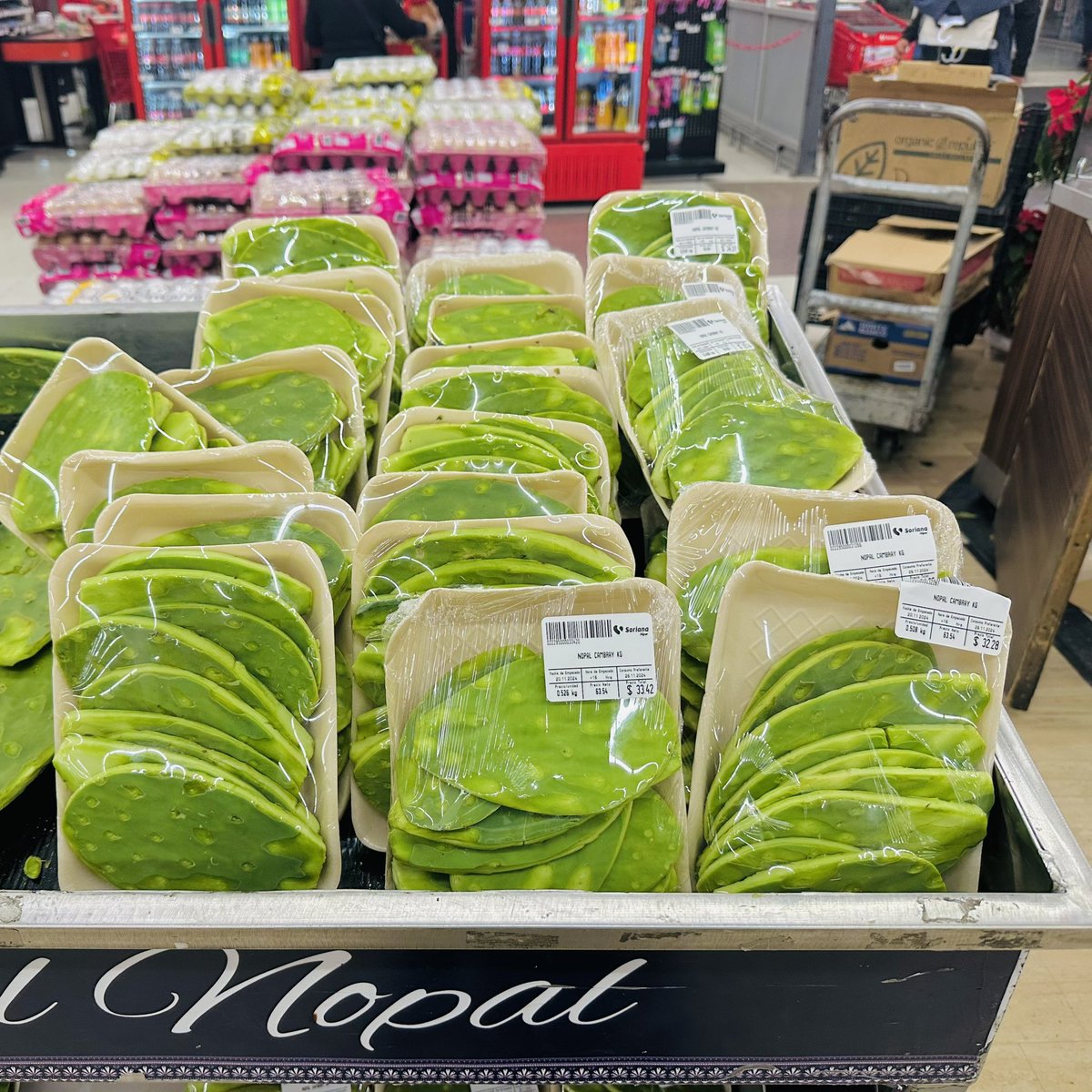 ノア🇲🇽メキシコ tweet media