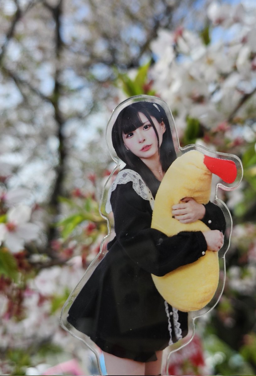 つじまるこ🍙🍤 tweet media