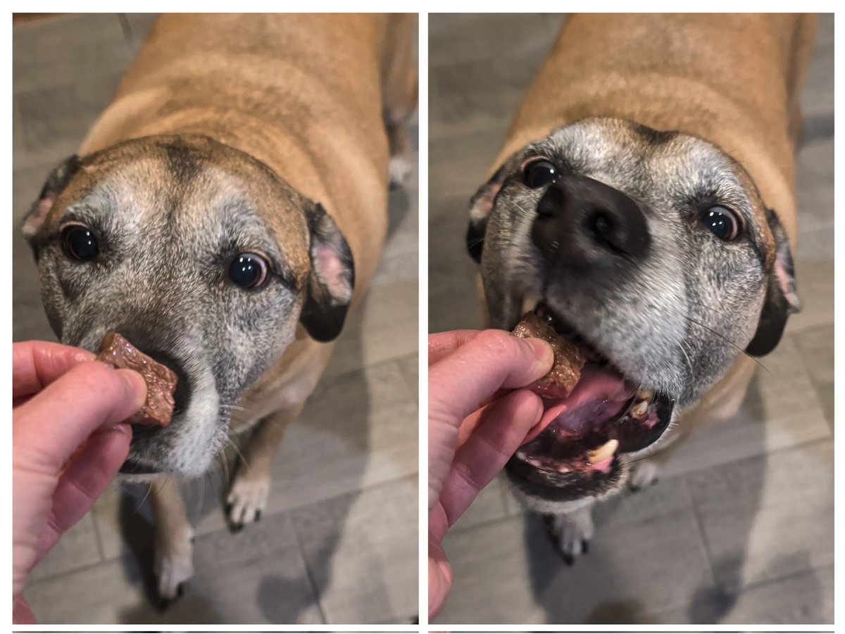 e l l i e tweet media