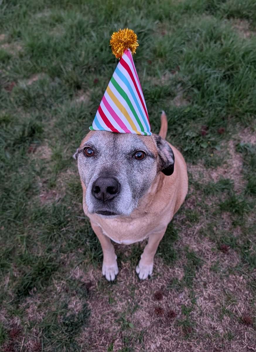 e l l i e tweet media