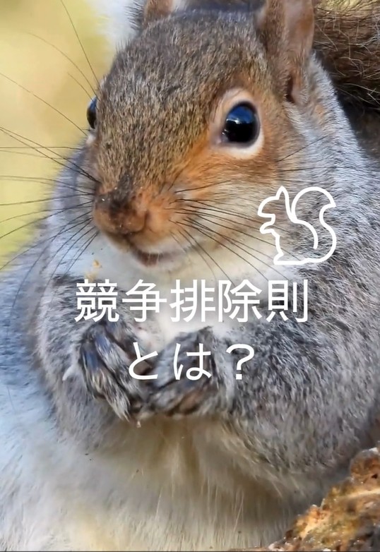 日本生態系協会 tweet media
