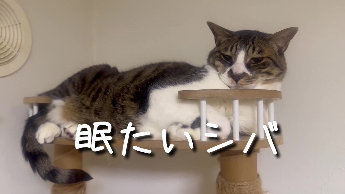 カルマ tweet media