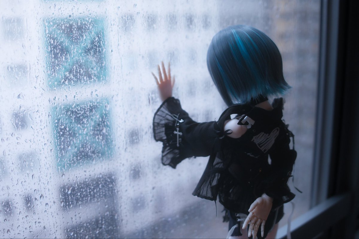 シーク tweet media