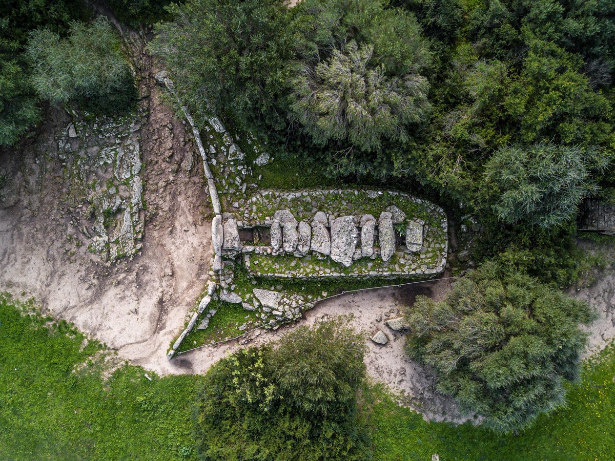 Megalithic Mysteries tweet media