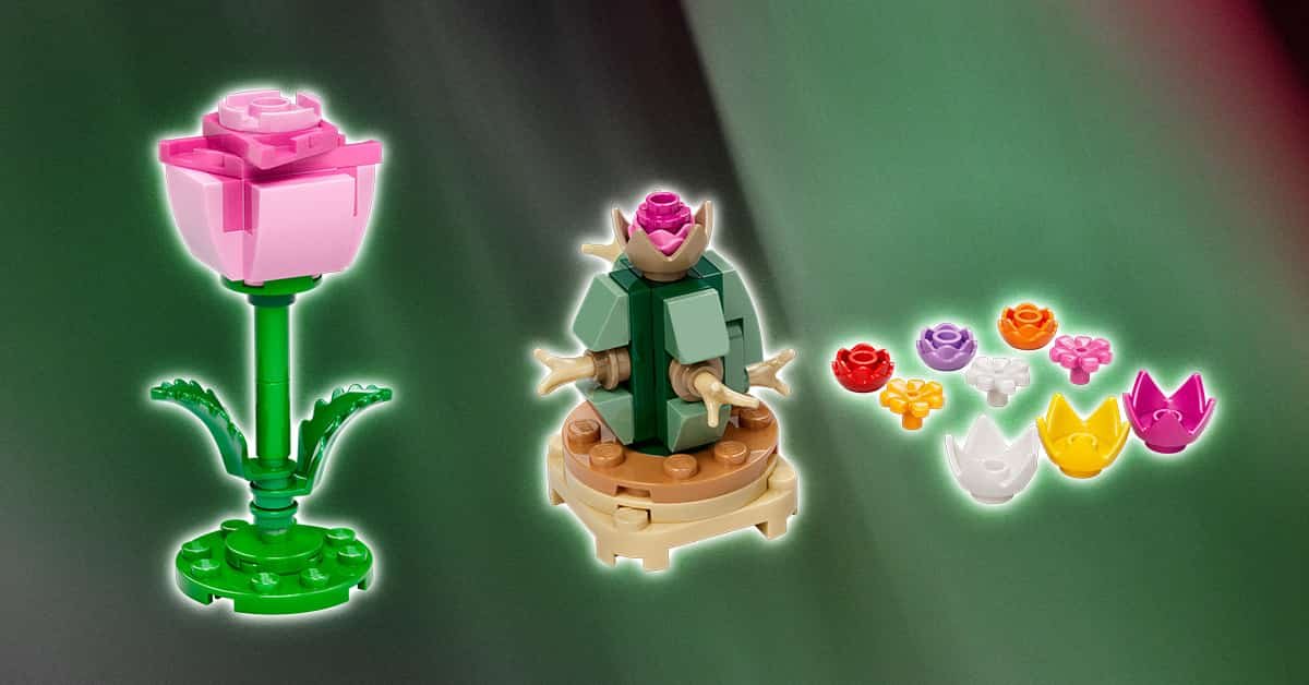 pops in ポップスイン｜POP-UP情報 tweet media