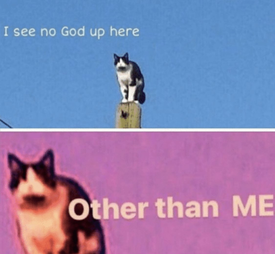 əlɪsəbɛθ tweet media