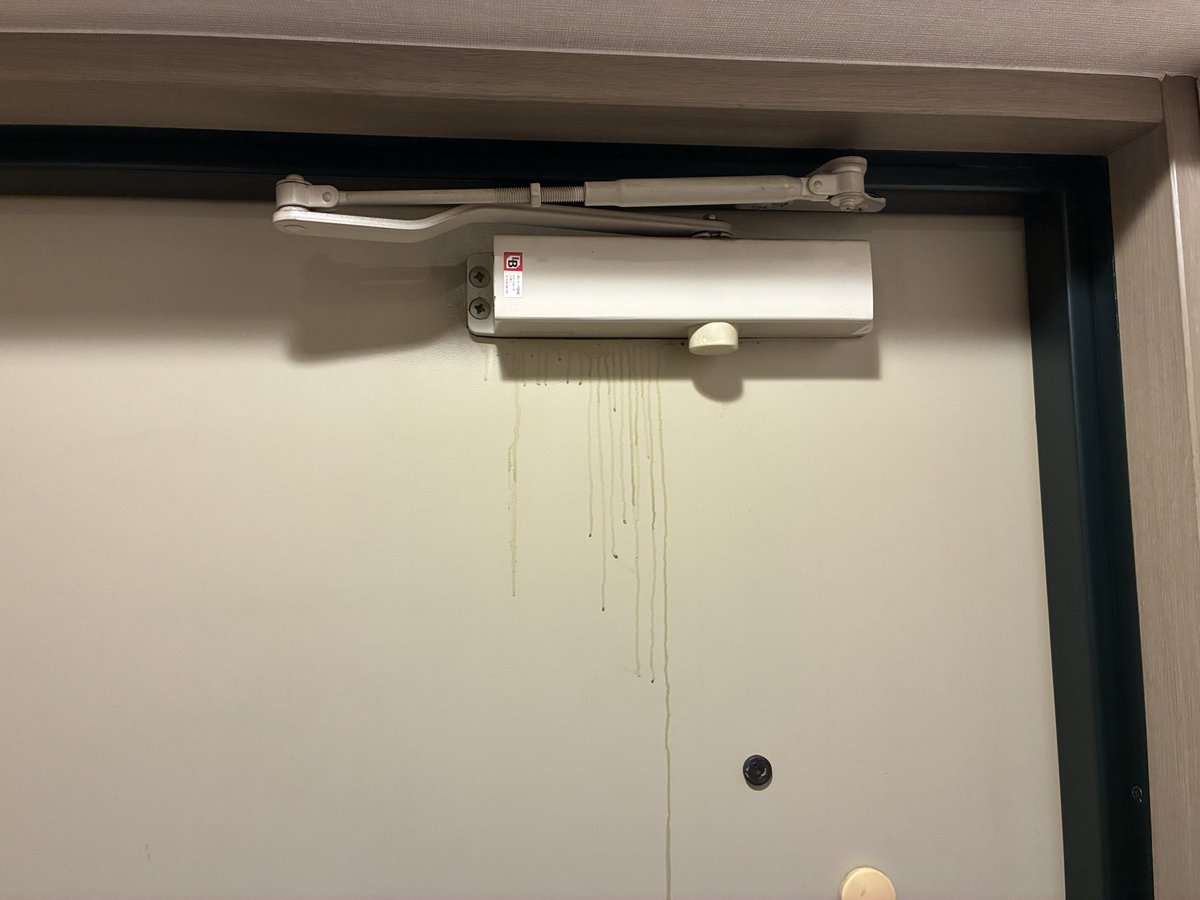 かっぱかぱヽ(⊙△⊙)ノ tweet media