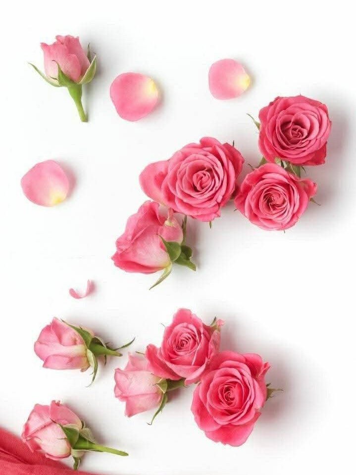 ,,,

25.Cüz 51.Ayet:

İnsana bir nimet verdiğimiz zaman (bizden) yüz çevirir ve yan çizer. Fakat ona bir şer dokunduğu zaman da yalvarıp durur...

Yeni güne, yeni haftaya Huzurla...
,,,