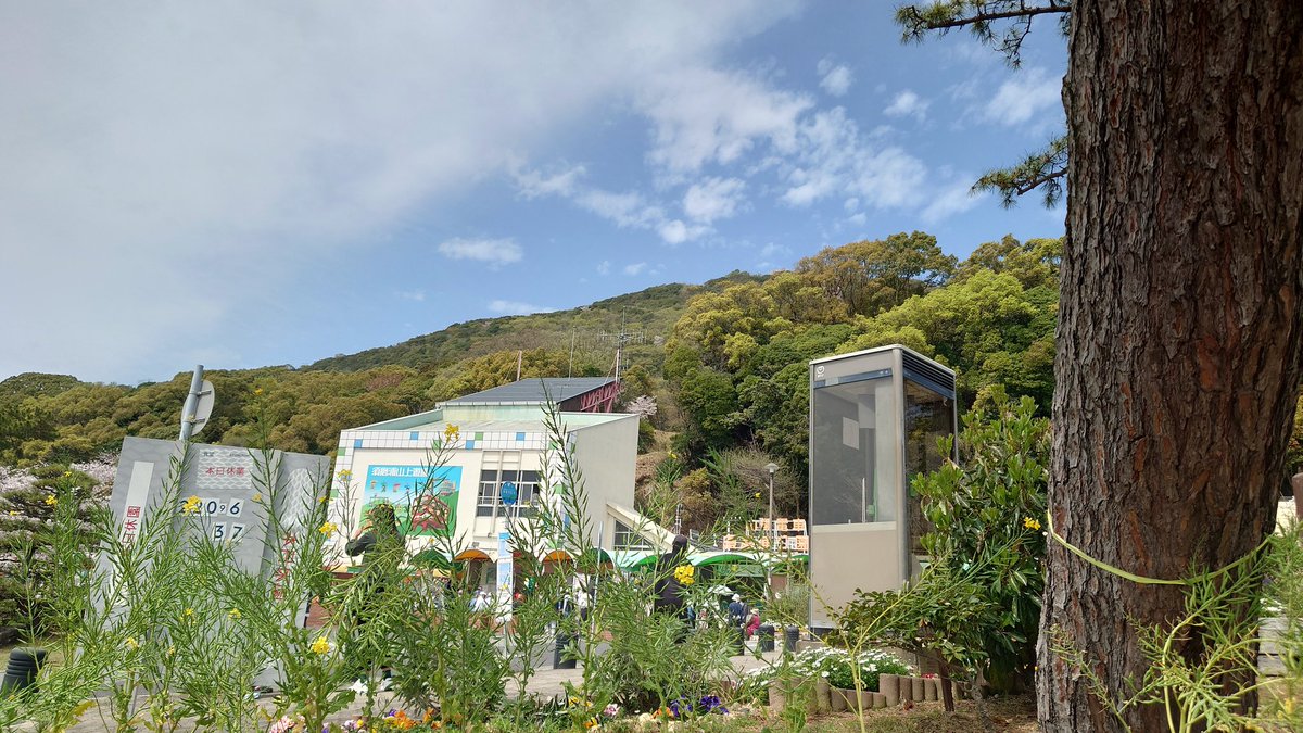 れい(れいパパ) tweet media