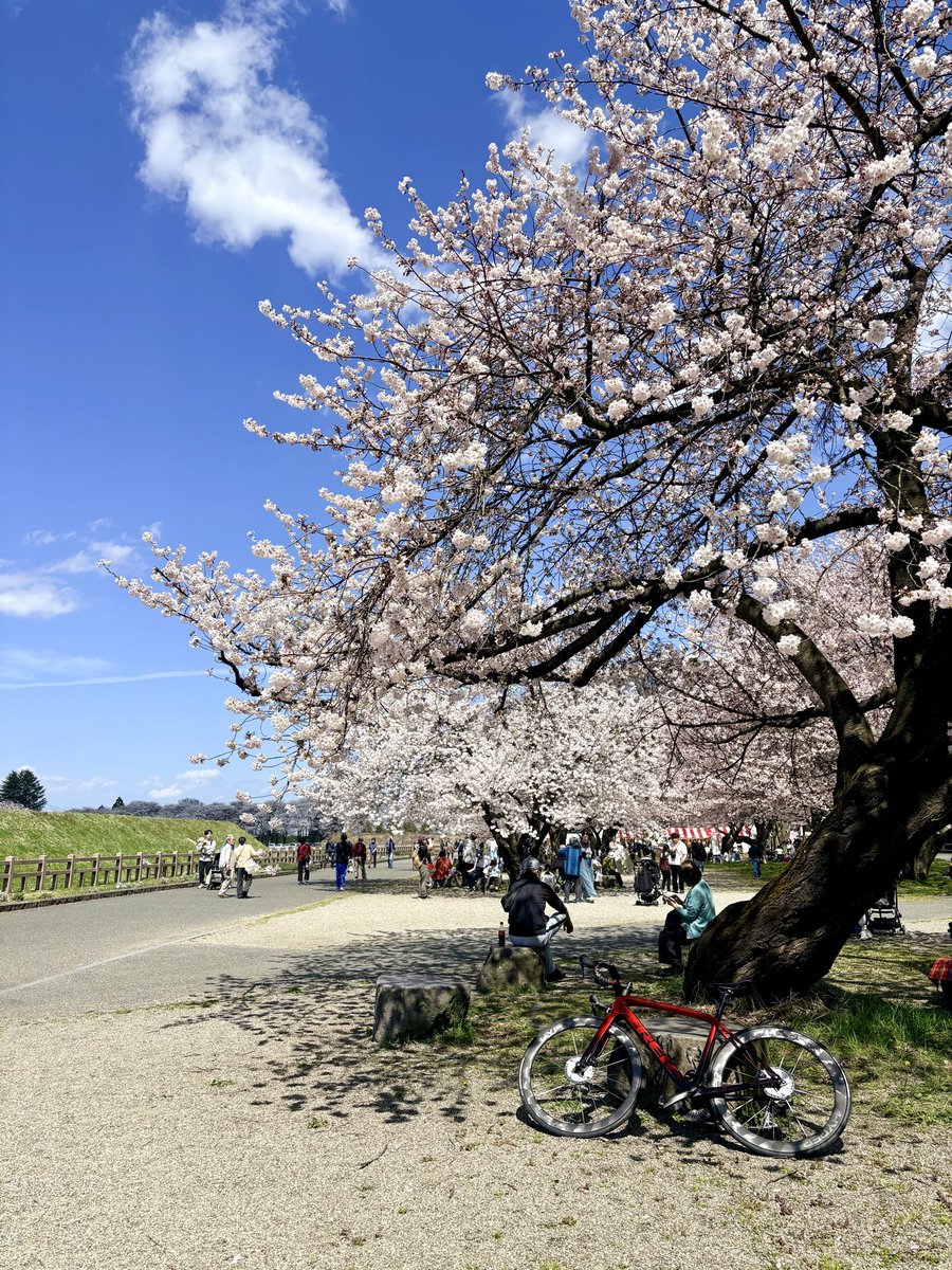 ぼっち☆ tweet media