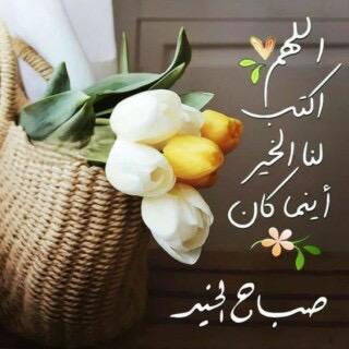 ابو ابراهيم tweet media