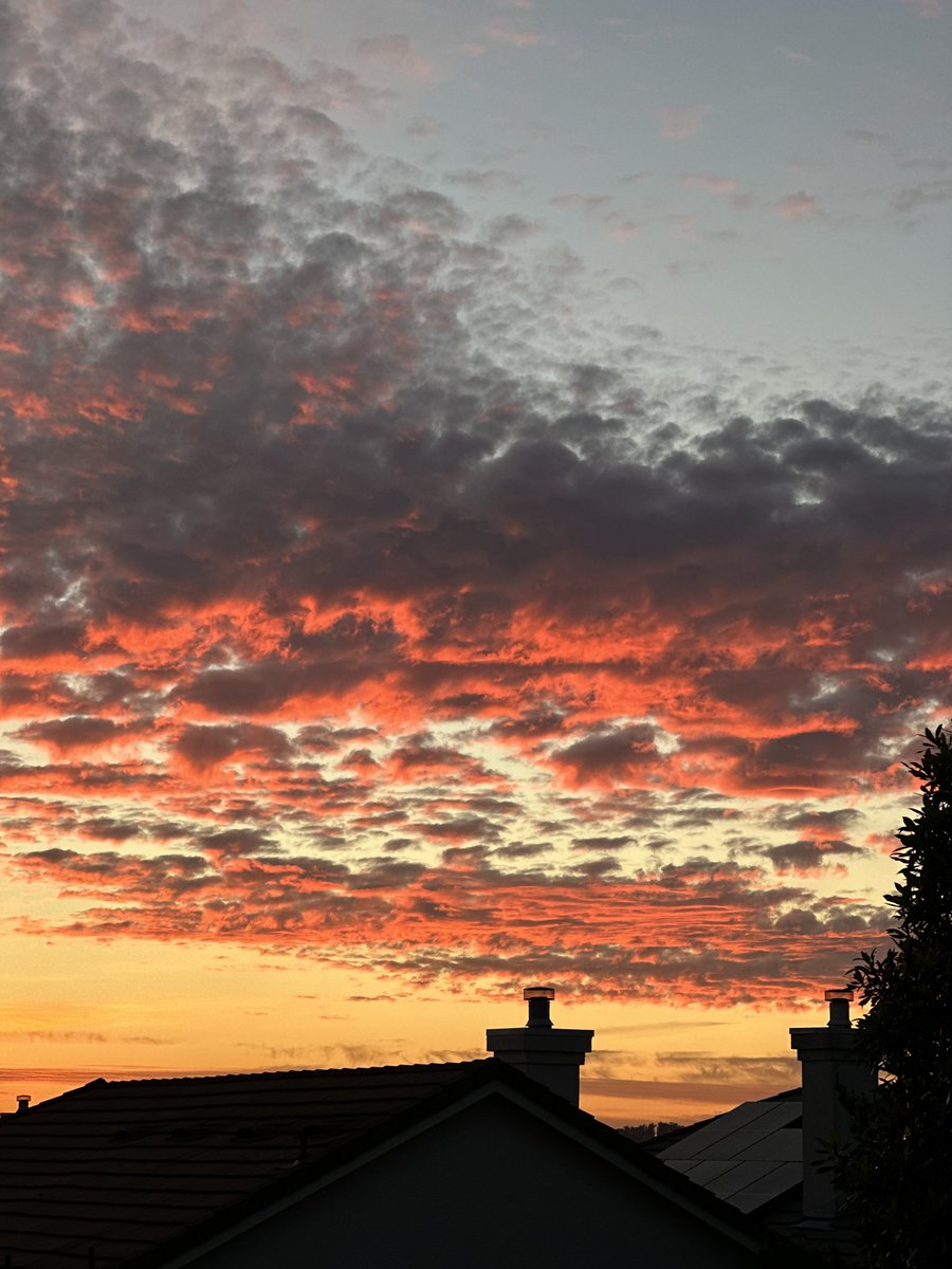 lauurennmacd's tweet photo. short but beautiful #affm day 14 sunset walk ✨☺️🌞 https://t.co/LlofVhOKpG